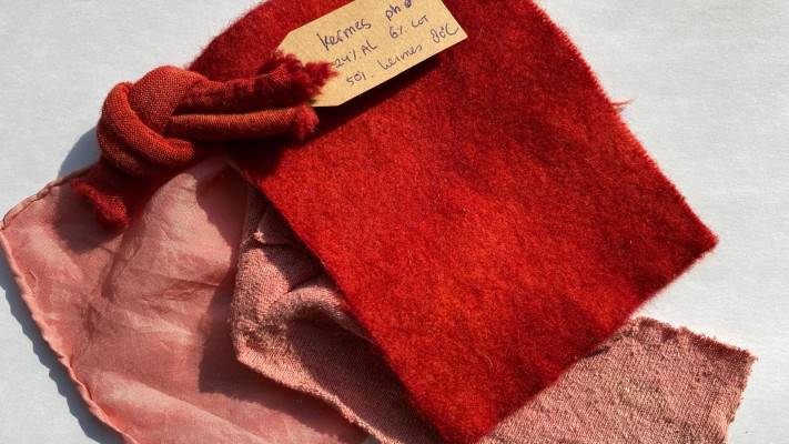 שחזור צביעה באמצעות כנימות האלון, להמחשת מראה צבע השני