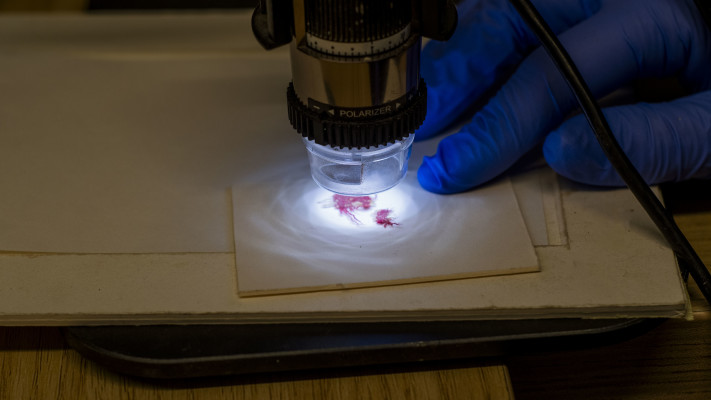 האריג הנדיר בבחינה תחת מיקרוסקופ