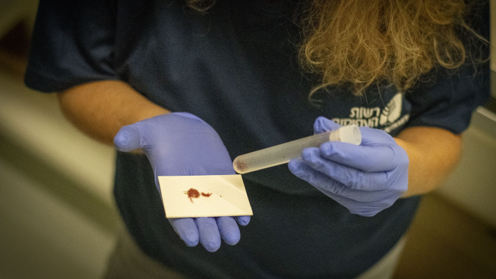 מבחנה עם כנימות אלון לצד האריג שהתגלה