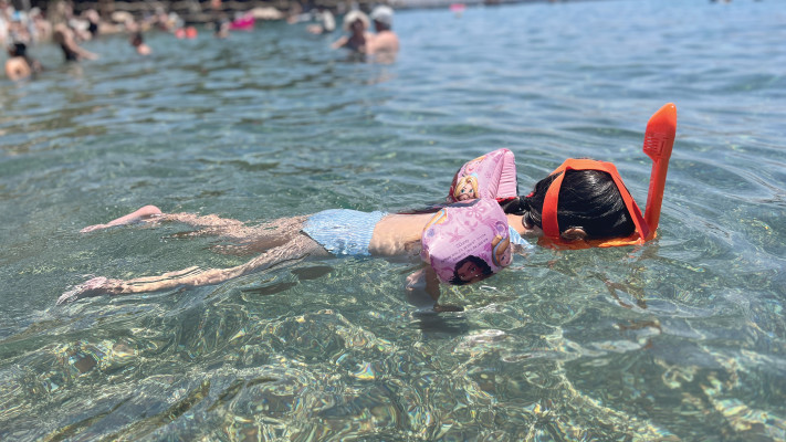 שנורקלין בריף