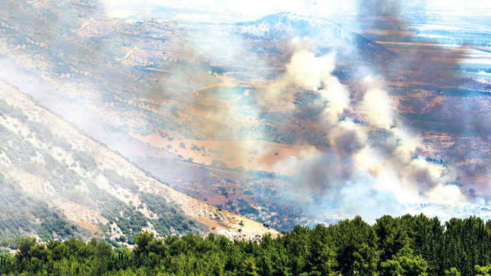 עשן מיתמר באזור יער ביריה