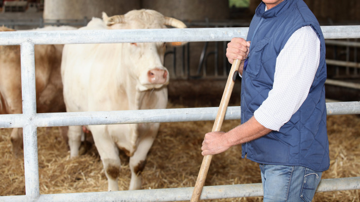 עובד החווה הואשם בהטרדות מיניות של בעלי החיים