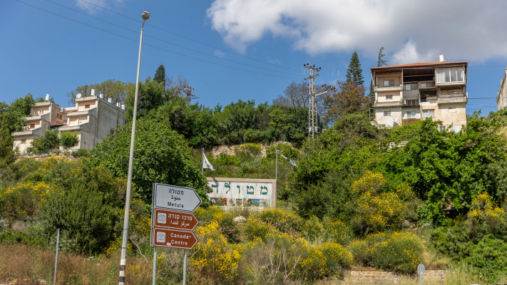 מטולה (צילום: יוסי אלוני פלאש 90)