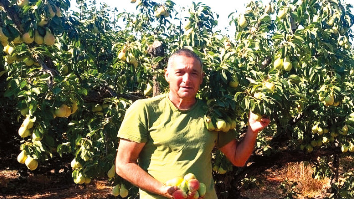 ירון בלחסן (צילום: ארגון מגדלי הפירות בישראל)