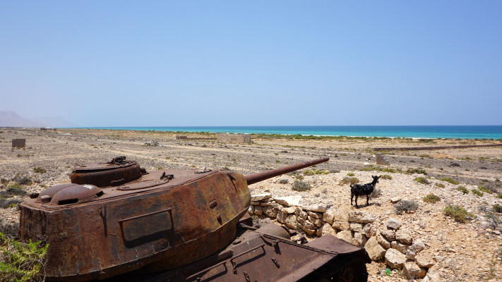 טנק ישן באי סוקוטרה  (צילום: PETER MARTELL/AFP via Getty Images)