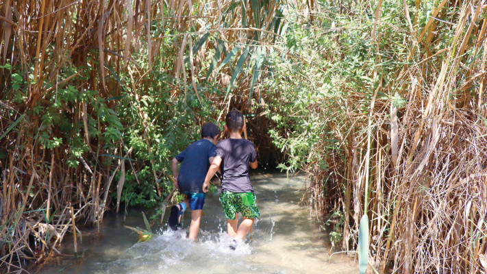 השביל הרטוב (צילום: אורן גבאי גולן)