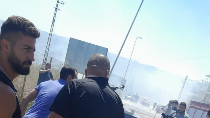 סיכול ממוקד בדרום לבנון 