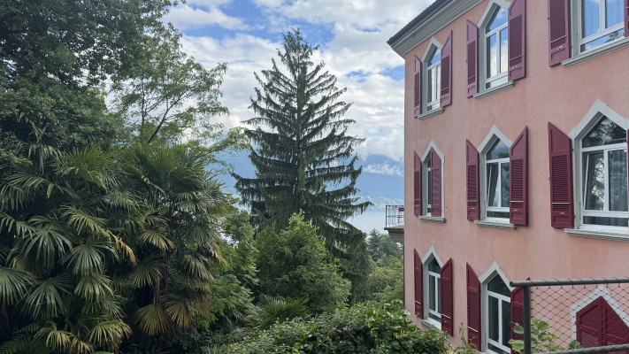 בית התה Casa del te 