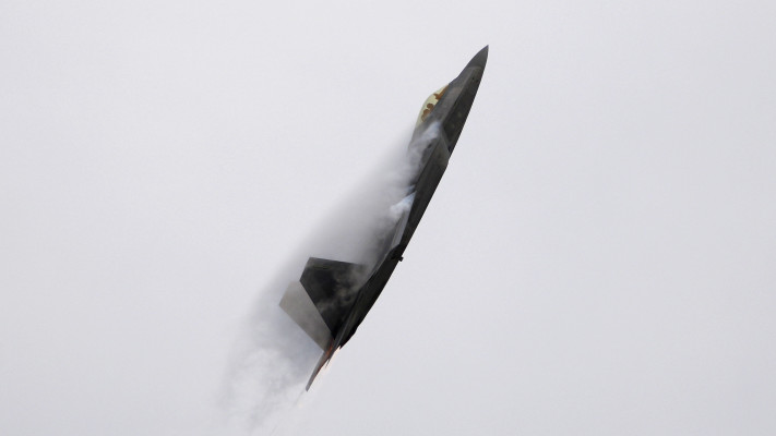 F-22 (צילום: REUTERS/Michael Fiala)