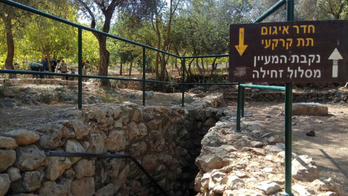 ירידה לנקבת המעיין - עין קובי (צילום: חני קהלני, קק״ל)