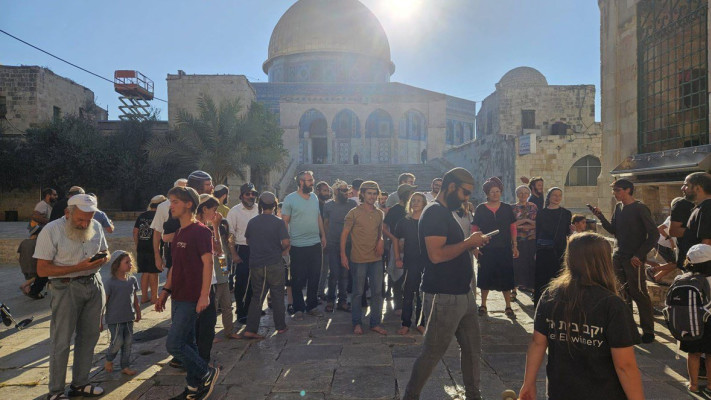 יהודים בהר הבית