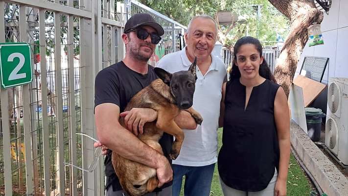 ד''ר אלרון, דרזיה וכלבן בכלביית השירותים הווטרינריים (צילום: משה כהן)