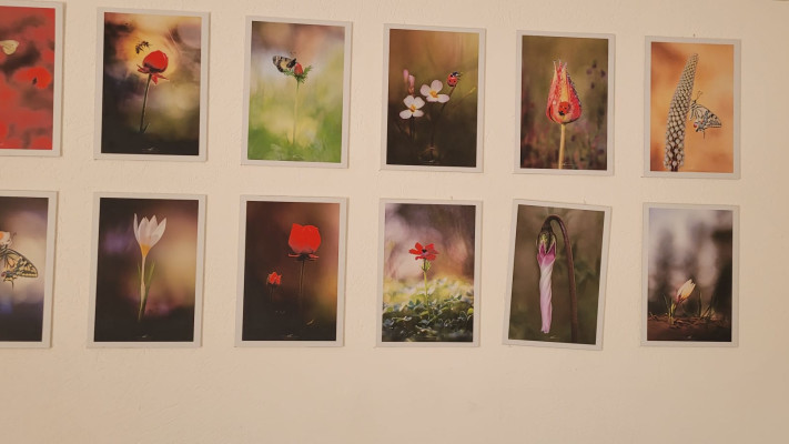 התערוכה בנחל התנינים