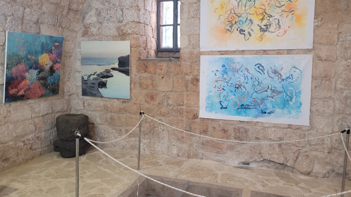 התערוכה בעין אפק