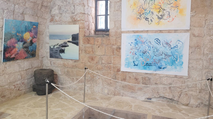 תערוכה עין אפק