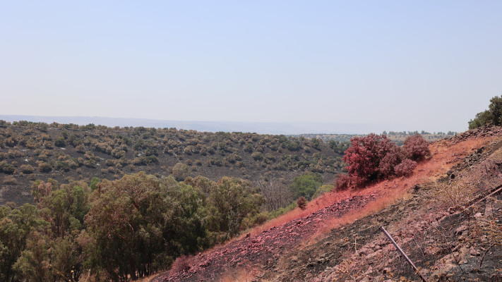 שריפה בנחל משושים  (צילום: שי אייזקס, רשות הטבע והגנים )