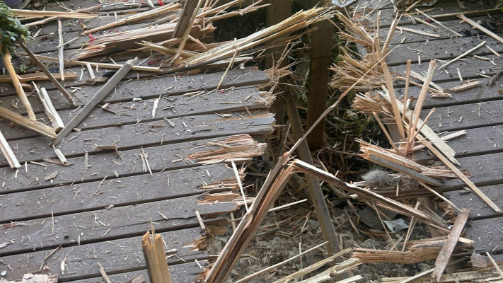 פגיעה בבית בזרעית בגליל המערבי