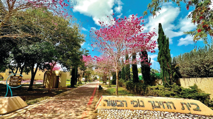 בית ספר נופי הבשור (צילום: דוברות ביה\'\'ס)