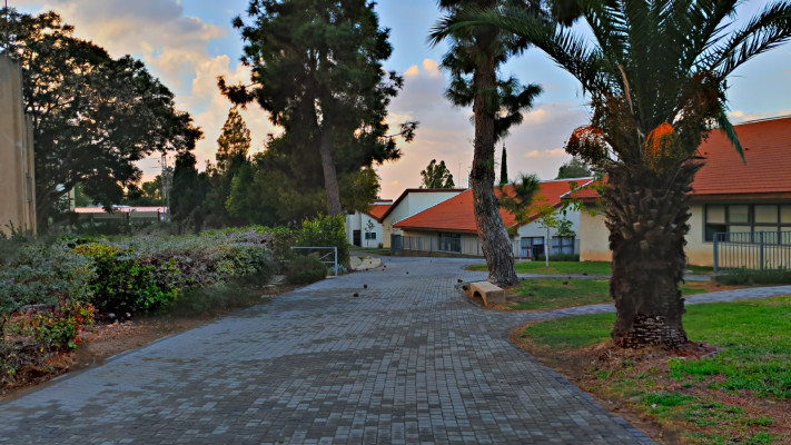 בית הספר בצפית