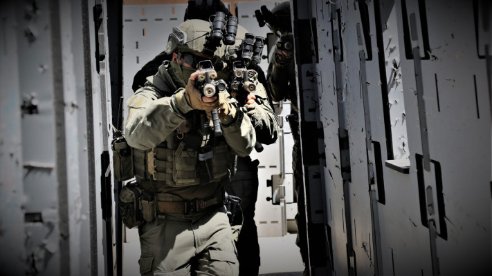 פעילות כוחות הימ''מ, אילוסטרציה