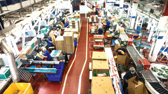 מפעל המלוחים של שטראוס