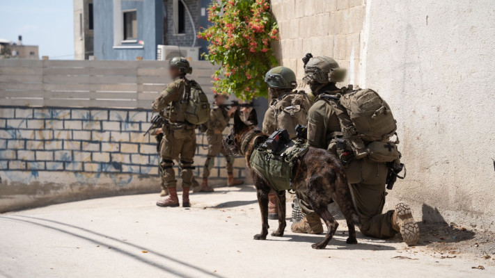 כוחות צה''ל באיו''ש