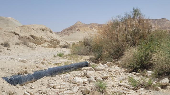 צינור דלק חשוף, עין זיק (צילום: לינקולן אברהם, רשות הטבע והגנים)