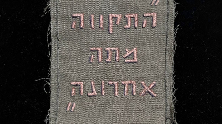 דגלים עגילים (צילום: רקפת כנען)