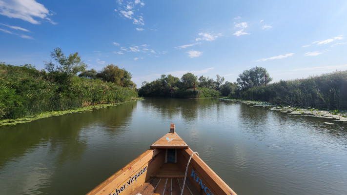 לחובבי צפרות מומלץ לצאת בהפלגה הראשונה 