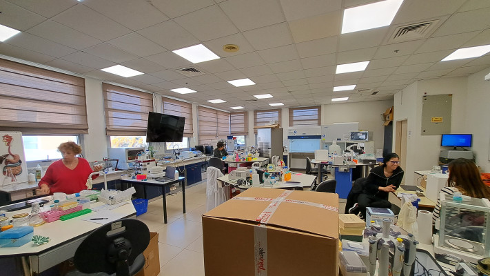 המעבדות בקצרין