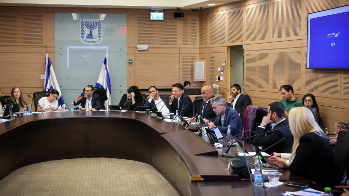 דיון בוועדת הכספים, ארכיון (צילום: נועם מושקוביץ, דוברות הכנסת)