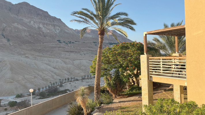 מלון עין גדי