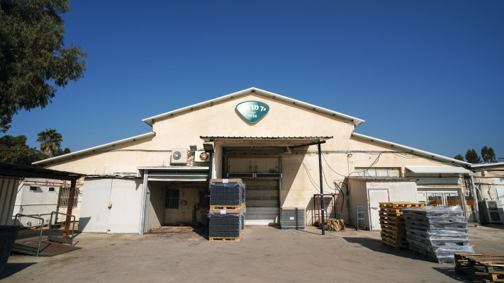 מפעל יד מרדכי