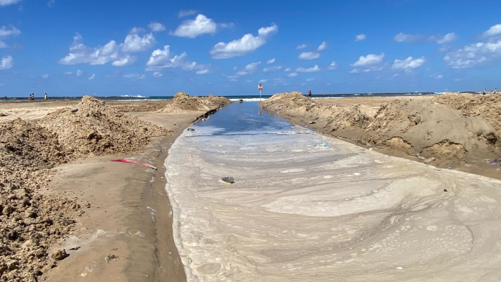 זיהום בחוף הים בתל אביב (צילום: אבשלום ששוני)