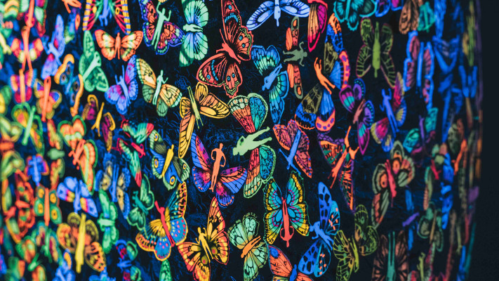 ''מצד שני'' - תערוכה חדשה לאמן צדוק בן דוד