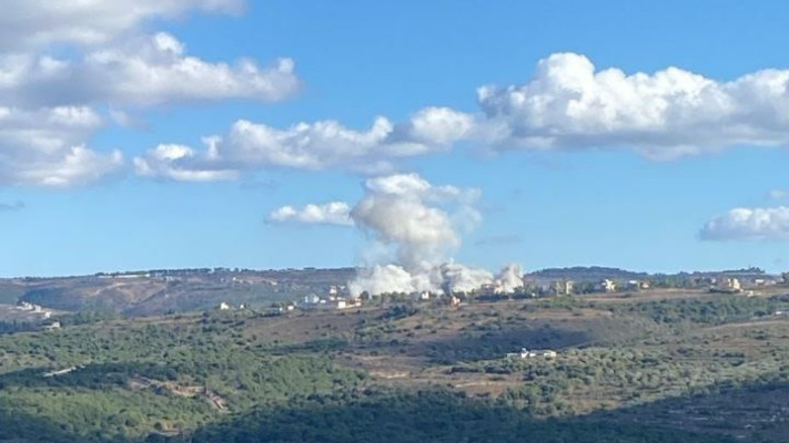 תקיפות בדרום לבנון (צילום: רשתות ערביות)