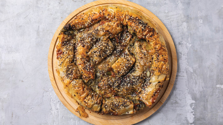 ספנקופיטה של יקי שגיא