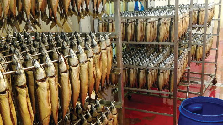 שני הדייגים