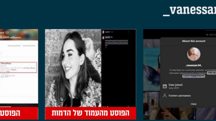 פרופיל פיקטיבי תחת השם ''ונסה'' (צילום: דובר צה''ל)