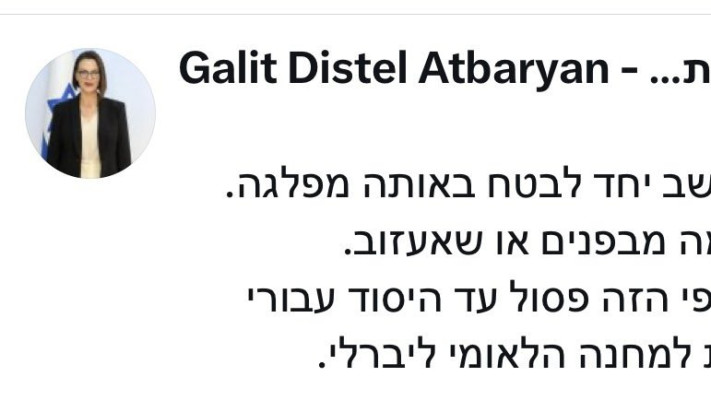 הציוץ הישן של גלית דיסטל־אטבריאן (צילום: צילום מסך)
