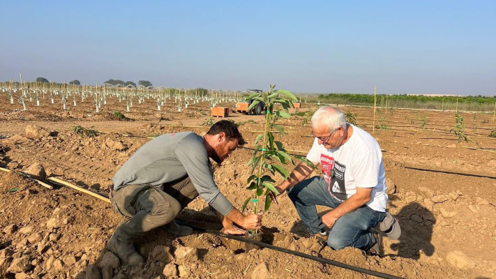 נטיעת אבוקדו עם חברי כיתת כוננות קיבוץ ארז, על הגבול