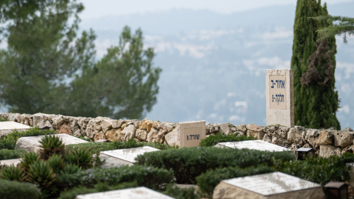 בית עלמין צבאי. תסמינים הנמשכים מעל שנה (צילום: דובר צה''ל)