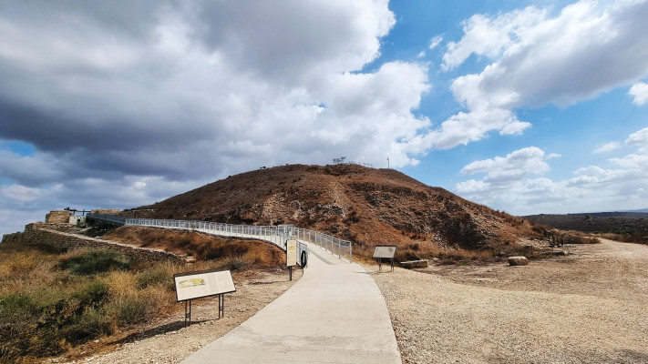 תל לכיש (צילום: רוני נאק)