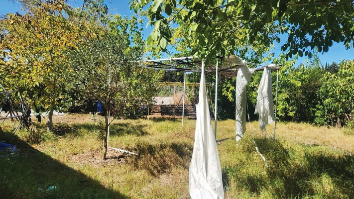 הסוכה של אורית אבולעפיה (צילום: פרטי)