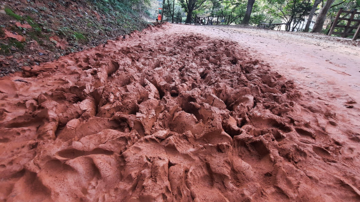 לעיתים הבוץ לח במיוחד והתחושה נהדרת