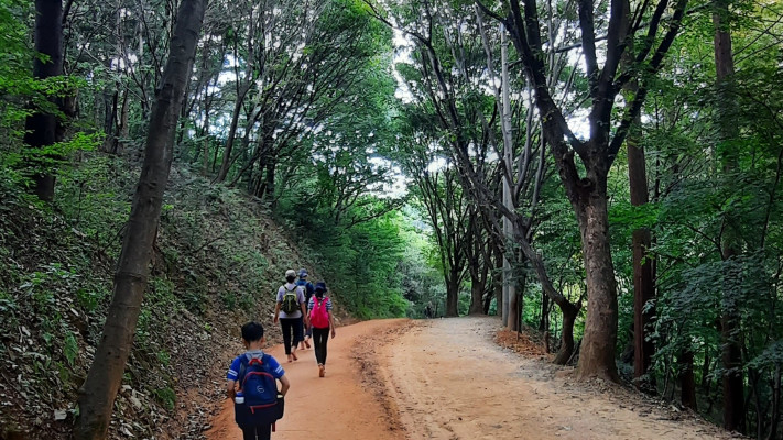 אמירת שלום לאנשים היא חלק מחוויית ההליכה