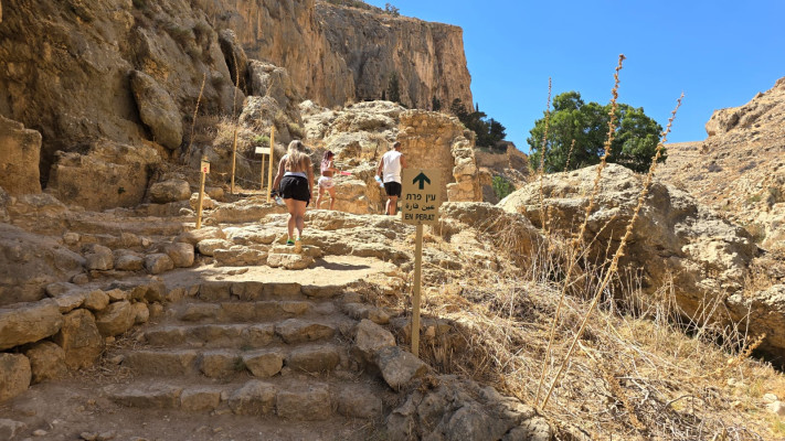 עין פרת  (צילום: יניב כהן, רשות הטבע והגנים)