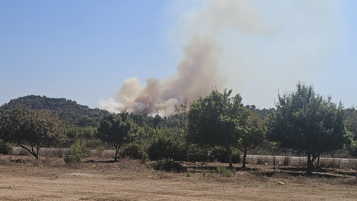 שריפות בצפון לאחר השיגורים מלבנון (צילום: דוברות כיבוי והצלה)