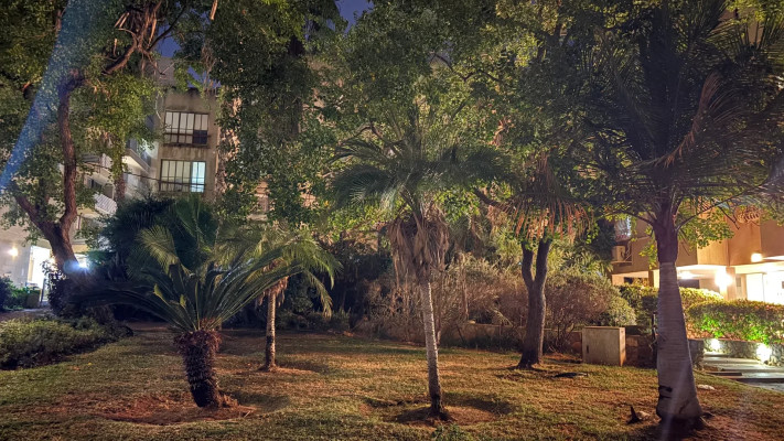 צילום במצב לילה באייפון 16 (צילום: צחי הופמן)