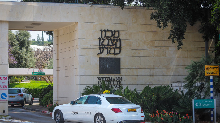 מכון ויצמן (צילום: יוסי אלוני, פלאש 90)